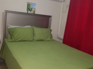 114 Constant Spring Rd, Kingston / St. Andrew, Jamaica - Apartment for Lease/rental